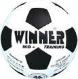Mid Training